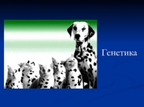 Генетика