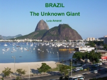 BRAZIL
The Unknown Giant
Luiz Amaral