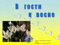 Авторы : воспитатели средней группы
Петрова А. Е., Кукушкина В И