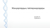 Жануарлардың тейлериидоздары
Әшірбек Ә
Рузматов С