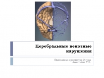 Церебральные венозные нарушения