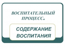 ВОСПИТАТЕЛЬНЫЙ ПРОЦЕСС