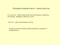 Прокариотические клетки – самые простые
Что у них есть – ДНК в виде одной
