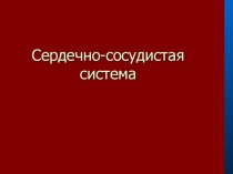 методы исследования в кардиологии