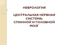 НЕВРОЛОГИЯ ЦЕНТРАЛЬНАЯ НЕРВНАЯ СИСТЕМА: СПИННОЙ И ГОЛОВНОЙ МОЗГ