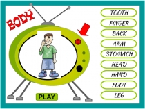 TOOTH
FINGER
BACK
ARM
STOMACH
HEAD
HAND
FOOT
LEG
PLAY