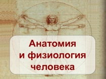 Анатомия
и физиология
человека