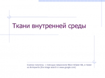 Ткани внутренней среды