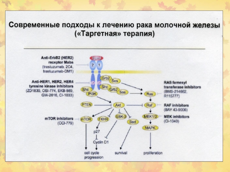 5 web ru. Белок ассоциированный 2.15 значение. Ассоциированы с мембранами что значит. Ассоциированы с мембранами синоним.
