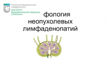 Морфология неопухолевых лимфаденопатий