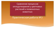 Сравнение процессов оплодотворения у цветковых растений и позвоночных животных