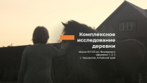Комплексное исследование деревни