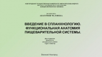НОВГОРОДСКИЙ ГОСУДАРСТВЕННЫЙ УНИВЕРСИТЕТ ИМЕНИ ЯРОСЛАВА МУДРОГО
ИНСТИТУТ