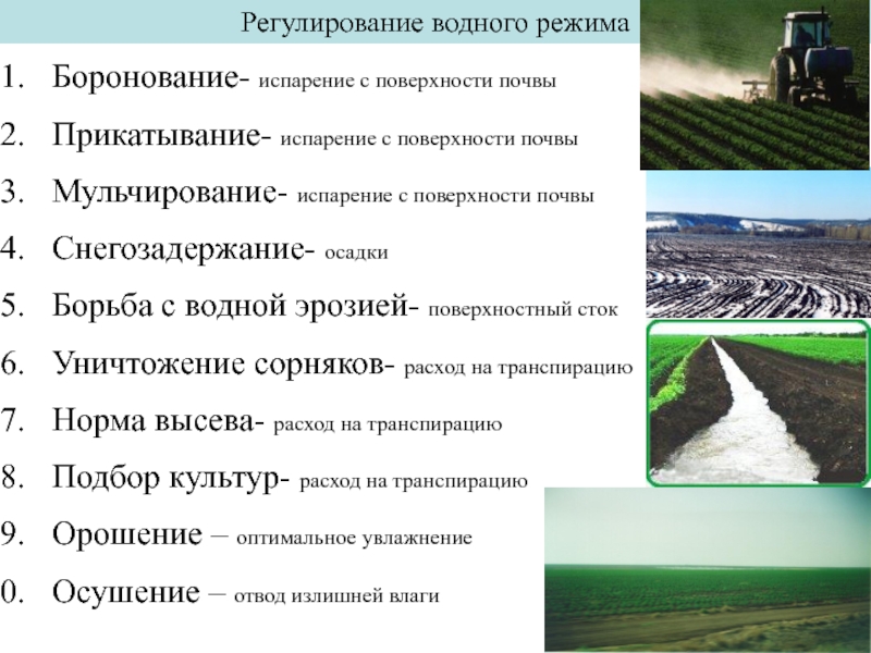 Режимы почвы. Регулирование водного режима почв. Водный режим почв. Водный режим почвы и его регулирование. Способы регулирования водного режима почв.