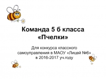 Команда 5 б класса Пчелки