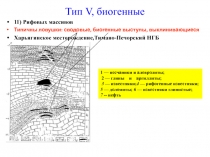 Тип V, биогенные