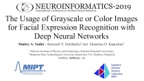 The Usage of Grayscale or Color Images for Facial Expression Recognition with
