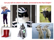Can you tell me what it is about, connected to the Past Simple?