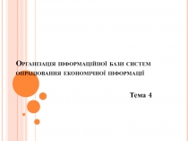 Організація інформаційної бази систем опрацювання економічної інформації