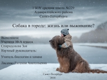 ГБОУ средняя школа №229 Адмиралтейского района Санкт-Петербурга Собака в