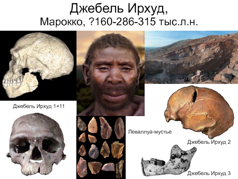 Антропогенез часть 18 пре-палеоантропы и палеоантропы Африки и Ближнего Джебель Ирхуд,Марокко, ?160-286-315 тыс.л.н.Джебель Ирхуд 1+11Джебель Ирхуд 2Джебель Ирхуд 3Леваллуа-мустье Джебель Ирхуд,Марокко, ?160-286-315 тыс.л.н.Джебель Ирхуд 1+11Джебель Ирхуд 2Джебель Ирхуд 3Леваллуа-мустье