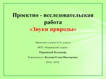 Проектно - исследовательская работа Звуки природы