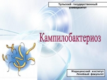 Тульский государственный университет
Медицинский институт
Лечебный факультет