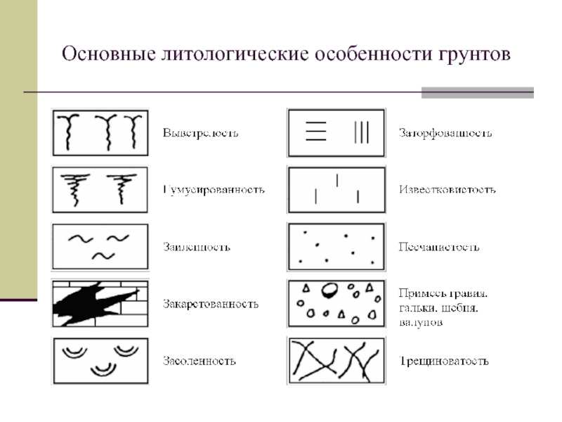 Анализ инженерно-геологических условий площадки строительства Основные литологические особенности грунтов Основные литологические особенности грунтов