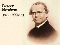 Грегор Мендель
(1822 - 1884г.г.)
