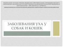 Заболевания уха у собак и кошек