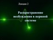 Распространение возбуждения в нервной системе