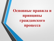 Основные правила и принципы гражданского процесса
