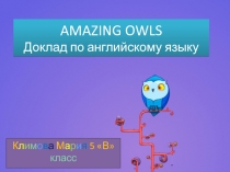 AMAZING OWLS Доклад по английскому языку