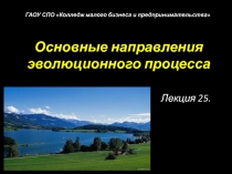 Основные направления эволюционного процесса