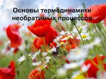 Основы термодинамики необратимых процессов
