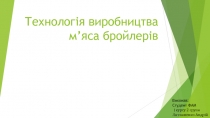 Технологія виробництва м ’ яса бройлерів
