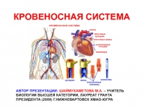 КРОВЕНОСНАЯ СИСТЕМА
