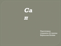 Сап
Подготовила студентка 42 группы Кириллова Ксения