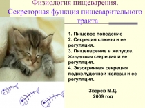 Физиология пищеварения. Секреторная функция пищеварительного тракта
