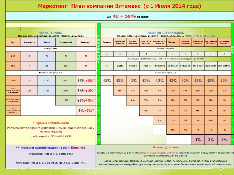 Витамакс маркетинг план