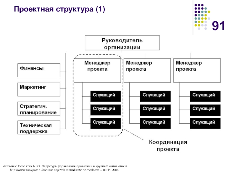 Проектная структура схема