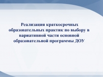 Реализация краткосрочных образовательных практик по выбору в вариативной части