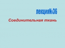 Соединительная ткань