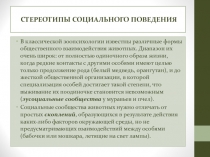 Стереотипы социального поведения