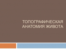 Топографическая анатомия живота