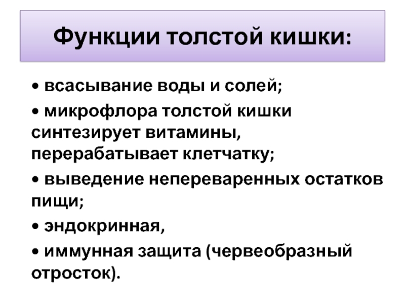 Выполняемые функции толстой кишки. Толстый кишечник функции. Функции толстой кишки. Толстая кишка функции. Функции толстой кишечника.