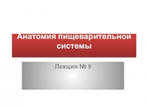 Анатомия пищеварительной системы