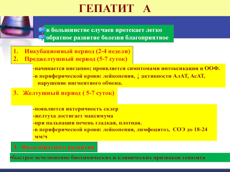 Отличительная особенность преджелтушного периода гепатита е