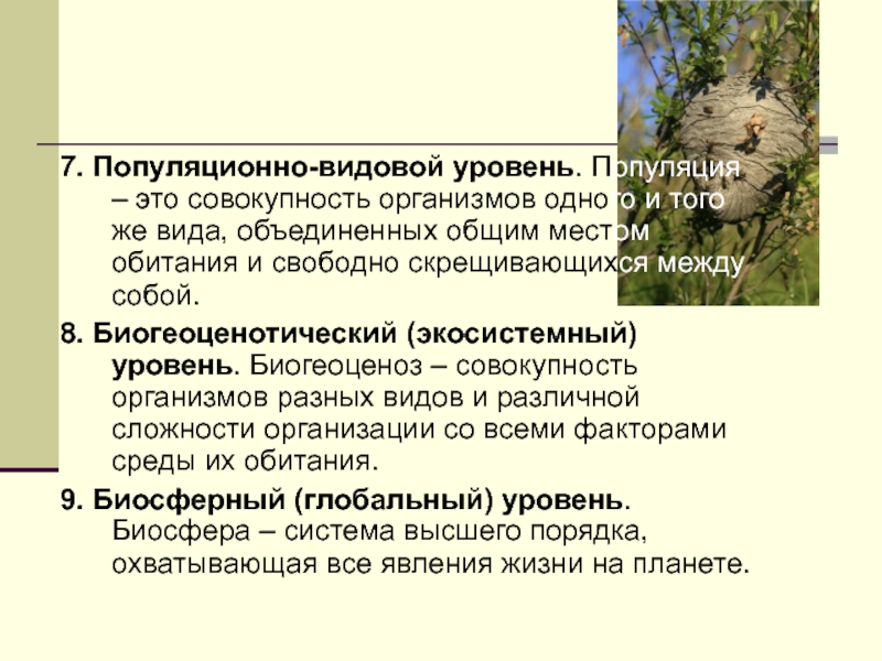 Особенности популяционно видового уровня жизни 10 класс биология презентация пономарева