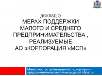 Доклад о мерах поддержки малого и среднего предпринимательства, реализуемые АО